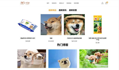 寵物服務(wù)網(wǎng)站的設(shè)計(jì)與實(shí)現(xiàn)