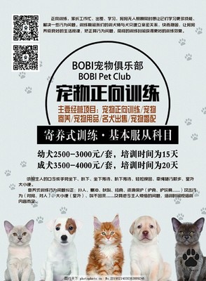 寵愛無限，服務(wù)無憂——新店開業(yè)，專為愛寵而來！